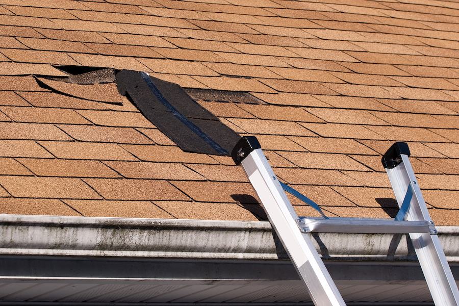 Spring Cleaning Roof