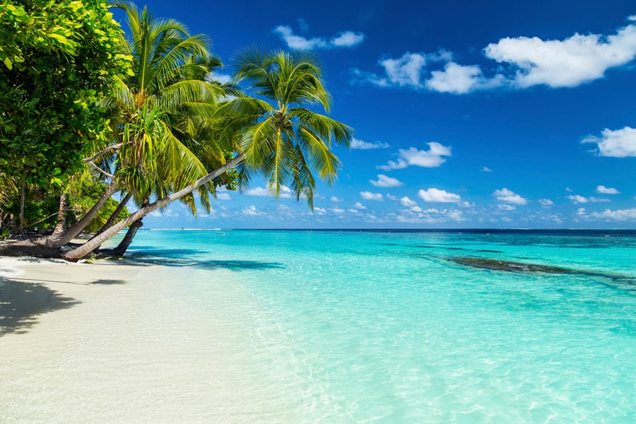 Beach in the Bahamas 