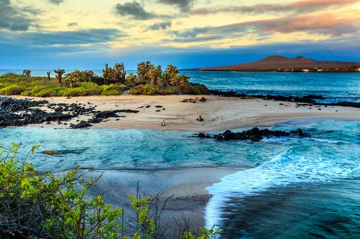 Chairman's Cruise The Galapagos Islands - AAA Travel