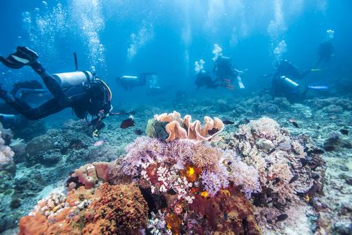 Great Barrier Reef - AAA Travel